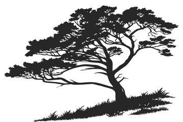 Cypress tree silhouette vector illustration