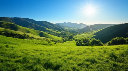 Obraz premium Sunny valley view of green hills