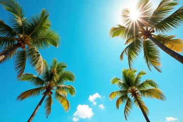 Obraz premium Sun-drenched coconut palms against a vibrant blue sky, palm trees, palm tree, travel