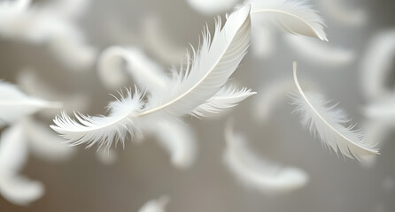 Fototapeta premium Floating feathers in slow motion background. Soft white plumes suspended midair