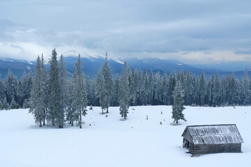 Snowy winter road in forest. Summer houses in snow-capped Carpathian mountains.