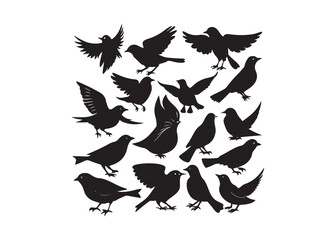 Bird Silhouettes Collection, black silhouettes of wild forest birds. Winter wild animal
