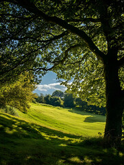 Fototapeta premium Idyllic Sunlit Meadow Framed by Lush Green Trees on a Clear Summer Day : Generative AI