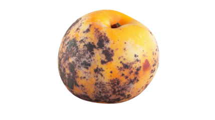 Unique view of a moldy yellow fruit with distinct dark spots on its surface and an uneven shape, showcasing natural decay
