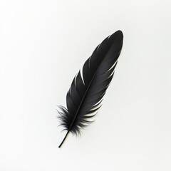 Delicate black feather in mid-air with a clean white background, representing simplicity and lightness.