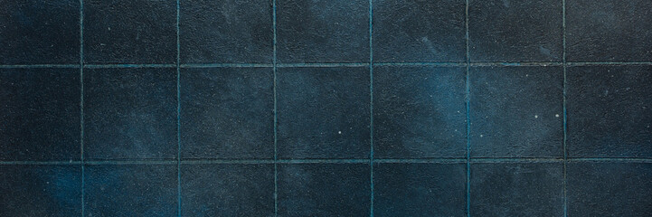 Dark blue tiles create a sleek and glossy background, adding depth and sophistication to any...