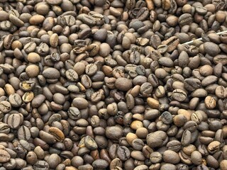 Roasted aromatic coffee beans top view brown in a pile of hundreds of beans