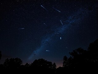 A clear night sky illuminated by streaking meteors during the Perseid shower