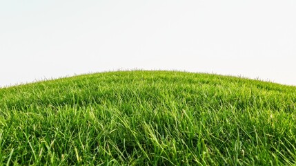 Obraz premium Lush Green Grass Hill Under Clear Sky for Nature and Outdoor Themes in Stock Photography