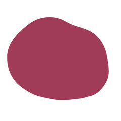 vector illustration of a pink and red glossy button