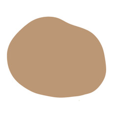 vector illustration of a brown bread
