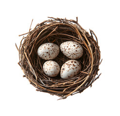 Obraz premium Natural Bird Nest with Spotted Eggs on Transparent Background