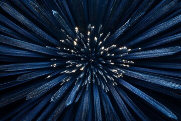 Abstract blue and gold burst, radiating lines.