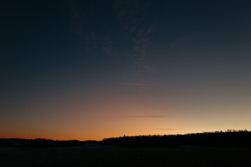 sunset and a forest