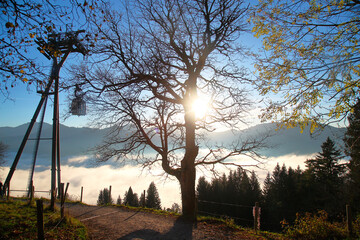 Landscape in the Alps