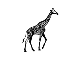 Camelopard Silhouette Vector. Giraffe Silhouette Vector � Elegant Camelopard Outline for Wildlife and Safari Designs