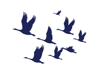 Collection of Flock of Flying Birds Silhouette. Collection of Flying Birds Silhouettes � Flock of Birds in Various Flight Poses