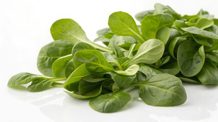 Obraz premium Velvety mâche rosettes nestle in a wooden bowl. Soft light highlights their tender leaves. French farm backdrop. 