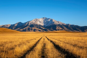 Snowy mountain peak over golden field with tire tracks, ideal for nature themes