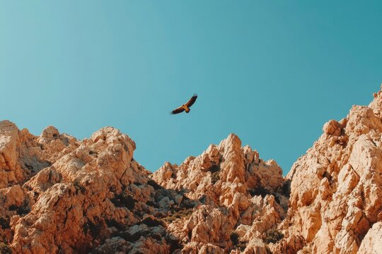 Eagle soaring over rocky canyon against clear blue sky