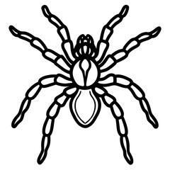 Tarantula Ink Lines