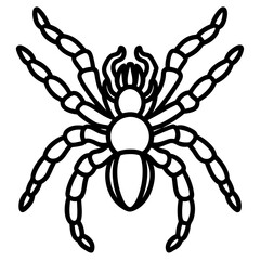 Obraz premium Tarantula Ink Lines