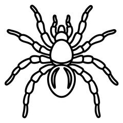 Obraz premium Tarantula Ink Lines