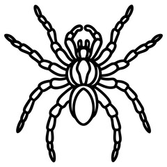 Tarantula Ink Lines
