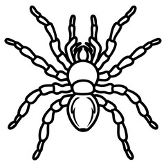 Tarantula Ink Lines