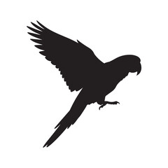 Flying Macaw Silhouette Vector Illustration