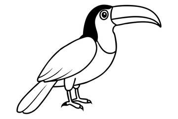 Toucan Monoline Drawing