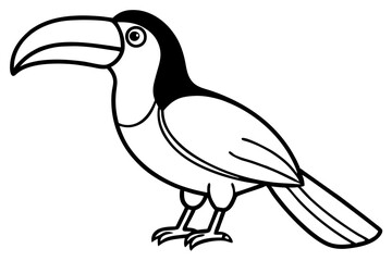 Toucan Monoline Drawing