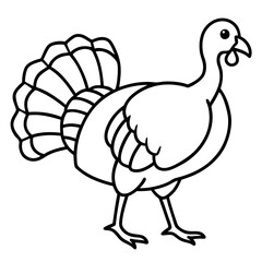 Wild Turkey Line Art