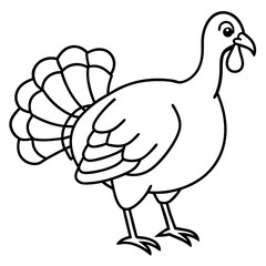 Wild Turkey Line Art