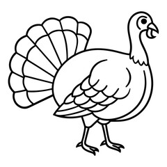 Wild Turkey Line Art