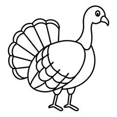 Wild Turkey Line Art