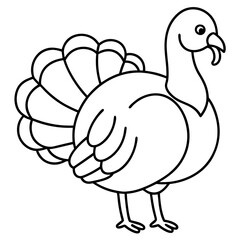 Wild Turkey Line Art