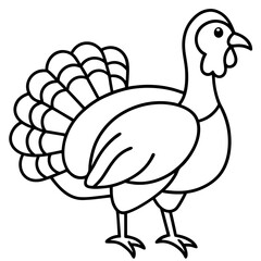 Wild Turkey Line Art