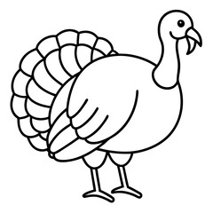 Wild Turkey Line Art