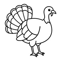 Wild Turkey Line Art