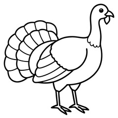 Wild Turkey Line Art