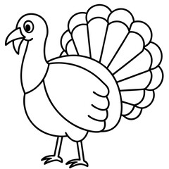 Wild Turkey Line Art