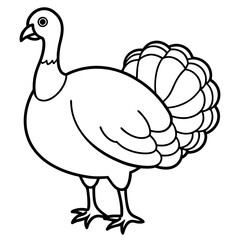 Wild Turkey Line Art