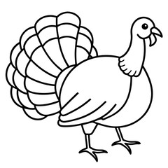 Wild Turkey Line Art