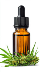 Fototapeta premium Closeup of amber medical marijuana dropper bottle with liquid inside and healthy vibrant green leafy buds of cannabis isolated on white background with copy space clean and clinical dispensary