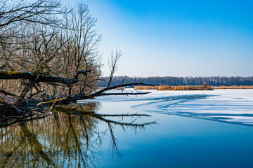 Rezerwat przyrody Łężczok – wodny rezerwat przyrody w województwie śląskim, w powiecie raciborskim. Panorama w zimie z lotu ptaka.