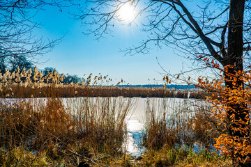 Staw hodowlany zimą w Polsce na Śląsku © Franciszek