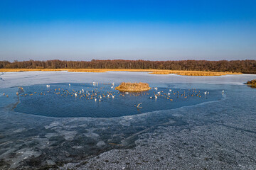Rezerwat przyrody Łężczok – wodny rezerwat przyrody w województwie śląskim, w powiecie raciborskim. Panorama w zimie z lotu ptaka.
