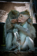 mother and baby