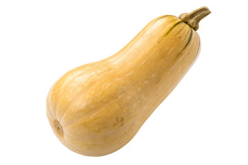 Butternut Squash PNG Image for Cooking, Baking, and Design